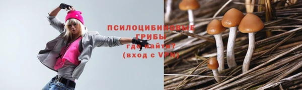 а пвп мука Аркадак