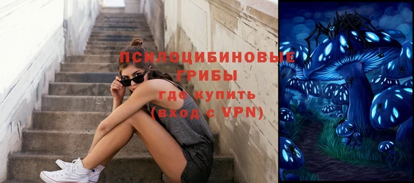 а пвп мука Аркадак