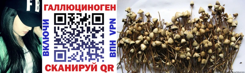 Галлюциногенные грибы мицелий  мега   Ступино 
