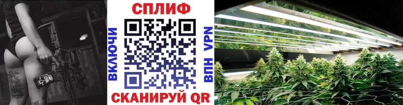 Канабис сатива  Ступино 